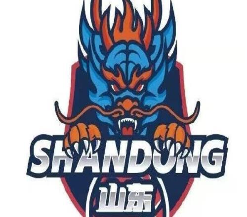 山東高速男籃官宣鋒衛(wèi)搖擺人德沃恩艾庫恩珀塞爾加盟