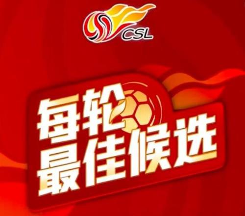 中超第29輪最佳候選：王燊超、鐘義浩入選，法比奧在列