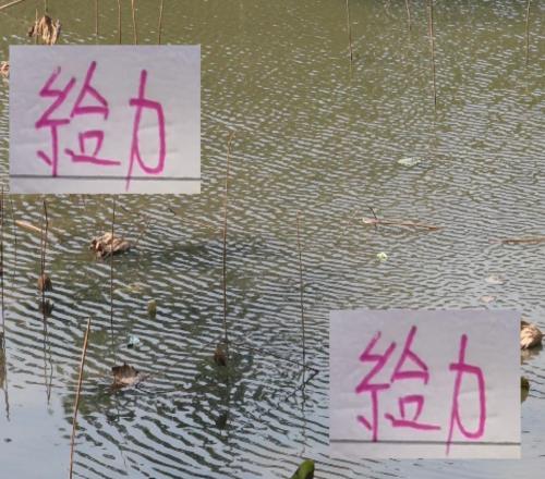 從海港的吾米提江到深圳拜合拉木中超新疆球員越來越給力