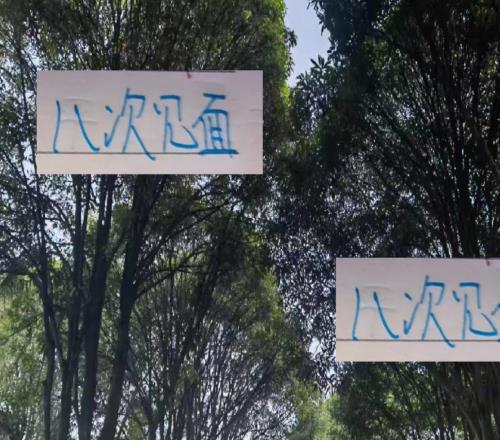 海港跟申花在債務(wù)方面一直都是0緋聞！怪不得這兩年能8次見(jiàn)面