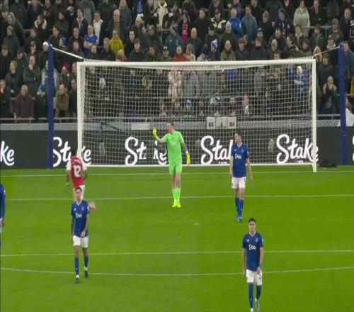 太陽(yáng)報(bào)：皮克福德在比賽中疑似向廷貝爾豎中指