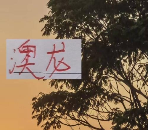 澳龍上場浙江挖角海港助教成功未來還有更多澳籍主帥嗎