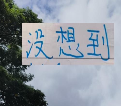 沒想到！下賽季中超葡萄牙身價(jià)最高外援不是申花特謝拉跟馬納法