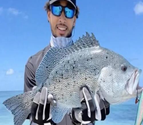 正式加盟！本西蒙斯重回賽場，但不在NBA