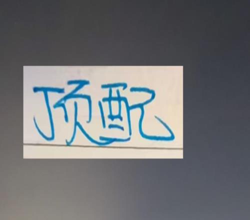 申花說實話差的是外援本土球員都是頂配