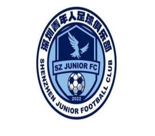 深晚：深圳青年人新賽季想換個活法，正在關(guān)注中超級別的外援