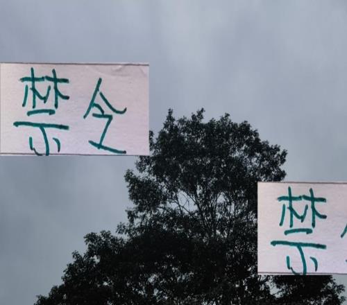 轉(zhuǎn)會(huì)禁令解除！北京國(guó)安新賽季重建能像海港一樣順利嗎