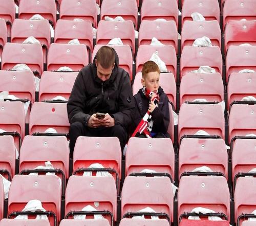 當(dāng)憤怒退場(chǎng)：不吵架，不罵人，“草食性”球迷如何安靜看球