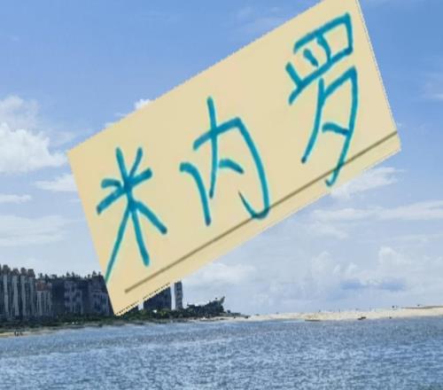 米內(nèi)羅當年J聯(lián)賽都踢不明白在申花大修前也能進球如麻