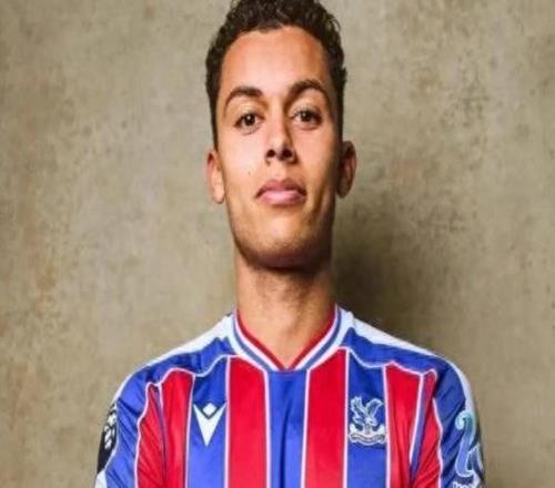 英超：水晶宮創隊史轉會費紀錄簽下布倫南約翰遜