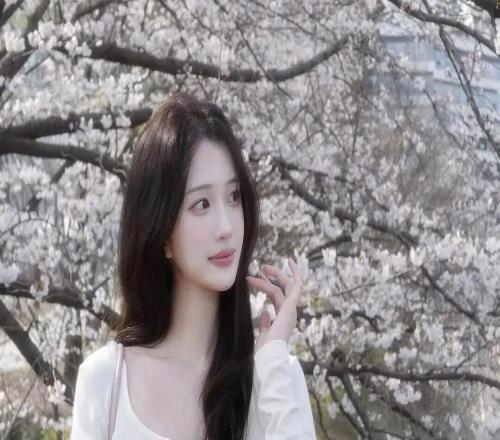 老詹31分，東契奇20罰！！！