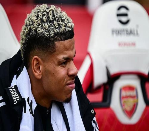 英媒：水晶宮評估引進紐卡前鋒奧蘇拉可行性，法蘭克福也有意