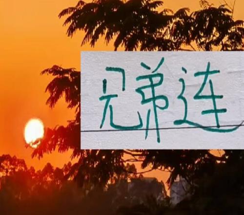 中超真的有兄弟連！哥哥執教浙江弟弟掌管成都蓉城