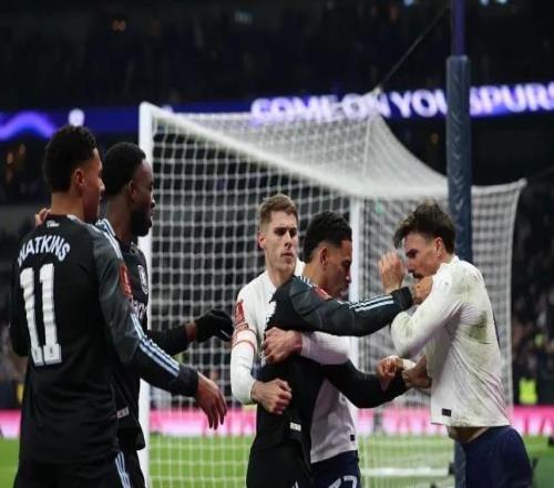 理查茲：熱刺球迷會喜歡帕利尼亞的強硬，這支球隊缺少血性