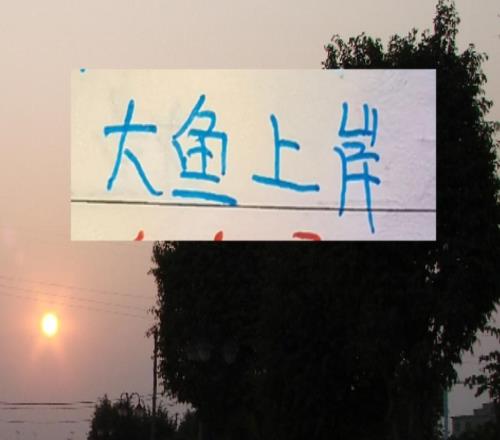 有大魚才有奪冠的希望！海港申花成都浙江都有大魚上岸了