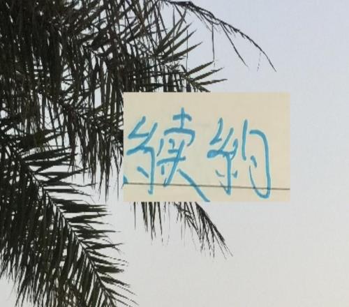 北京國安官宣兩波內援中超前4他們80后老將也是最多