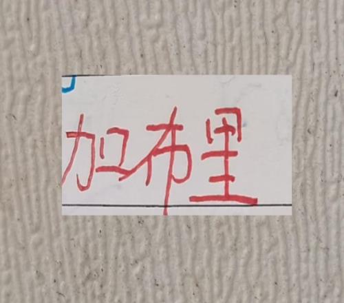 中超優(yōu)質進貨商！北京國安進貨發(fā)飆拿到金靴海港的加布拿到冠軍