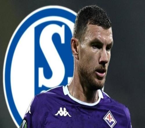 德天空：沙爾克和哲科達成口頭協議，目前正與佛羅倫薩談判