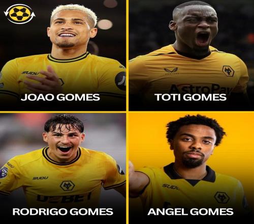 解說員噩夢，簽下安熱爾戈梅斯后狼隊已有4名叫Gomes的球員