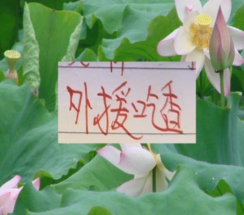 深圳有周定洋大連有馬萊萊+斯坦丘誰能沖擊前5