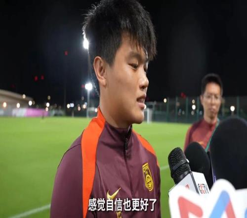 反轉媒體人稱楊希加盟上海海港已成定局