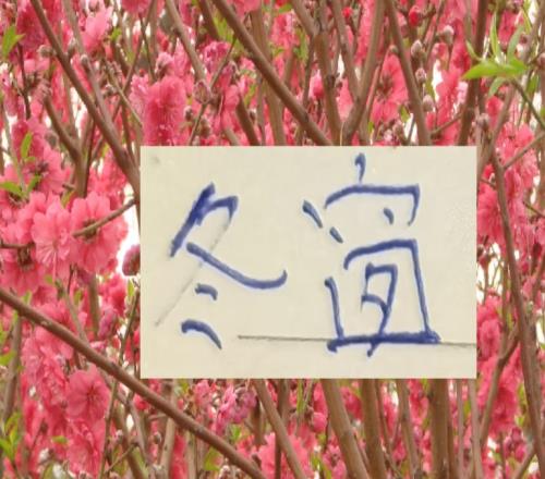 地主家也缺糧！去年中超前3海港+申花蓉城都出現中衛難題