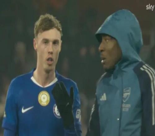 專家解讀馬杜埃凱賽后密語帕爾默：回來就好，你該去世界杯