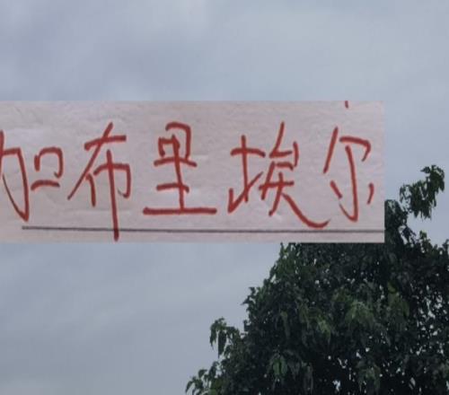 新賽季！海港申花北京國(guó)安的邊鋒都是又黑又快的外援