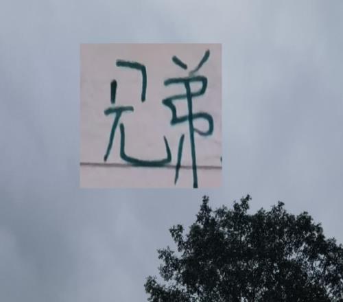 有馬萊萊的大連英博還有中超外援身價(jià)最高的鐵人今年也開足馬力