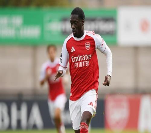 官方：阿森納21歲小將查爾斯薩戈租借加盟瑞典球隊卡爾馬