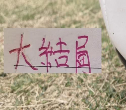 海港引援也基本大結(jié)局！新人里面誰才是真正大腿