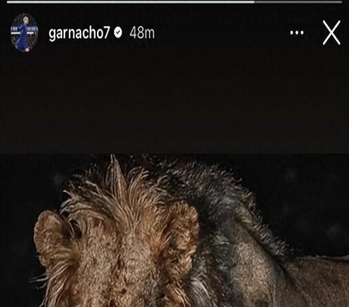 加納喬再惹爭議：賽前曬“嗜血雄獅”遭群嘲，切爾西或將其清洗