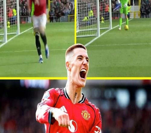 彈跳驚人，謝什科慶祝時跳得太高在鏡頭前出畫了