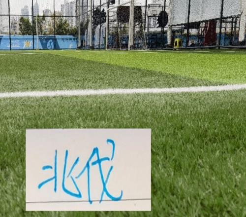 申花北伐開始！三月首戰馬萊萊今年要開香檳有點困難了！