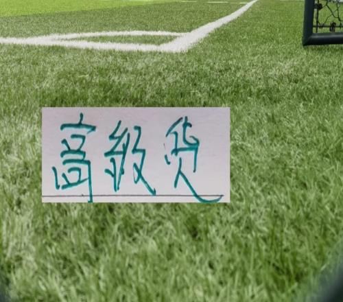 北京國安也淘到高級貨從去年日本聯賽達萬再到德甲后衛拉莫斯