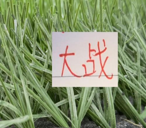 超級杯大戰！斯盧茨基也是刺探軍情！北京國安氣勢申花能守住嗎