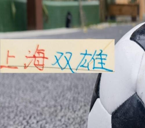 今年上海雙雄都是大手筆申花標王拿下拉唐海港重金砸下大魚