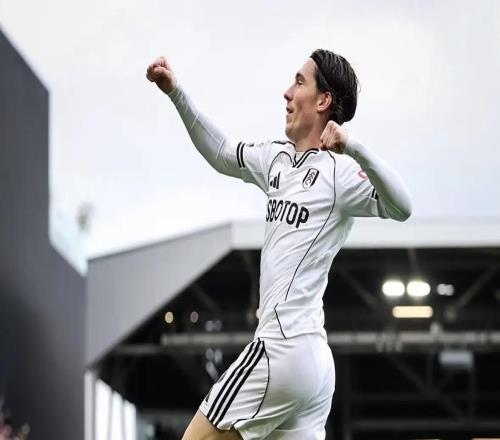 英媒：哈里威爾遜基本確定離開富勒姆，他愿加盟維拉踢歐冠