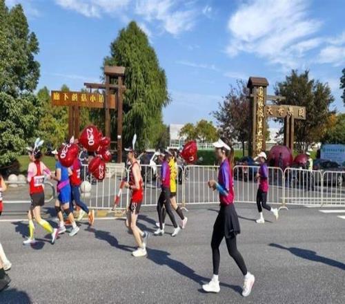 在奔跑中感受田園魅力！2025浙滬鄉(xiāng)村半程馬拉松賽開跑