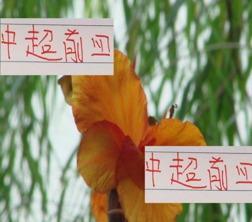 中超前4的领袖！本赛季海港已经不是武磊申花还是吴曦