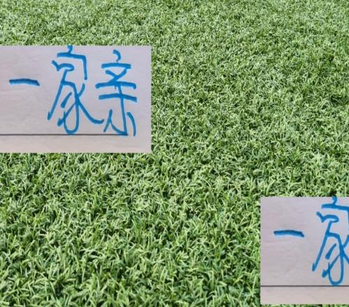 上海足球一家亲！大家双护帮忙狙击对手！申花还是德比输给海港