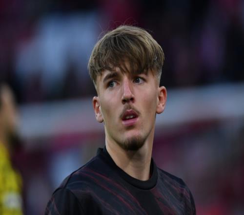 马特乌斯解读卡尔加盟皇马梦想：正是他胸怀壮志与自信的体现_西甲直播