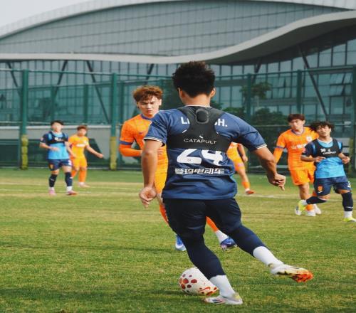 高级货！鲁能小妖来重庆海港铁卫加盟蓉城牛洪利薅完小牛薅韩东