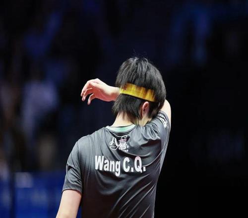 樊振东战胜王楚钦，挺进全运会乒乓球男单决赛