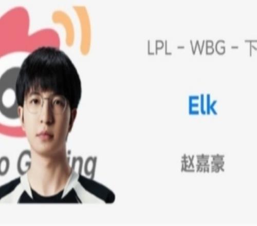 OBGG显示：BLG下路选手Elk加入WBG