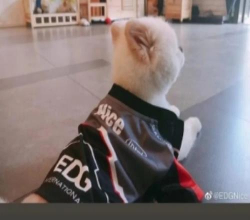 Deft和PawN发文送别Nice：下次再见吧小宝贝心理教练Nice