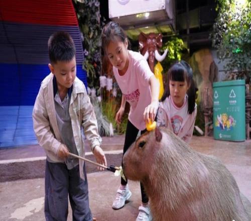 运动员免费！正佳极地海洋世界送出多项福利迎全运会