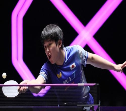 张本智和不敌国乒小将一轮游，中国大满贯男单首轮冷门频出